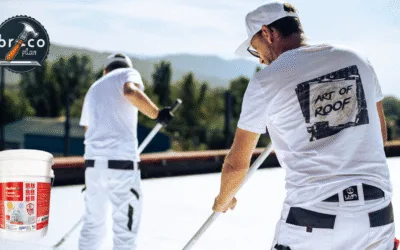 Pintura Térmica Aislante Fischer Opiniones - El Secreto para un Hogar Más Fresco y Eficiente Energéticamente. Fischer - Escudo Térmico Total, Aislante Térmico Reflexivo Exterior e Interior Impermeabilizante Antihumedad Anticondensación Antimoho para Pared