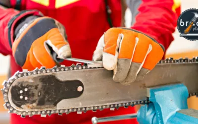 Cómo Mantener la Motosierra en Perfectas condiciones