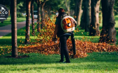 Comparativa Definitiva de Sopladores de Hojas para el Otoño: ¿Cuál es el Mejor para tu Jardín?