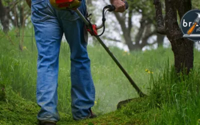 Las Mejores Desbrozadoras calidad precio para tu Jardín analizadas por Bricoplan