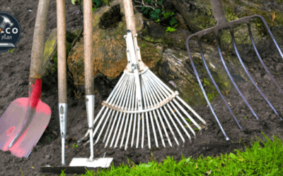 As melhores ferramentas de jardinagem para profissionais