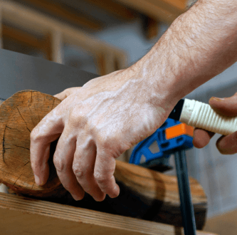 Les Millors Serres Japoneses - Guia Definitiva Bricoplan