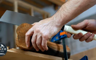 Las Mejores Sierras Japonesas - Guía Definitiva Bricoplan