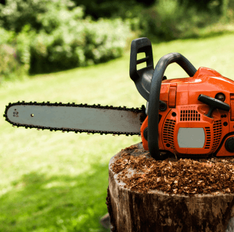 Motosserras de Poda, Analisamos as Melhores - Motosserra de Poda Bricoplan Stihl - Motosserra de Poda Echo