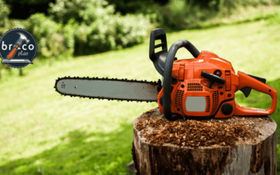Motosserras de Poda, Analisamos as Melhores - Motosserra de Poda Bricoplan Stihl - Motosserra de Poda Echo