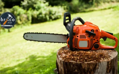 Motosierras de Poda, Analizamos las mejores - Bricoplan motosierra de poda stihl - motosierra de poda echo