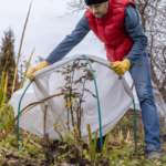 Preparar el teu Jardí per a Hivern - Guia, Eines i Trucs - Bricoplan