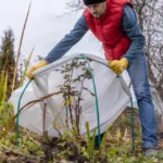 Preparar tu Jardín para Invierno - Guía, Herramientas y Trucos - Bricoplan
