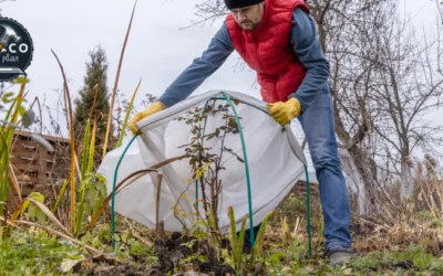 Preparar tu Jardín para Invierno - Guía, Herramientas y Trucos - Bricoplan