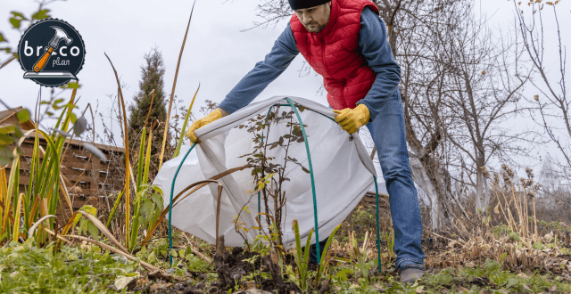 Preparar tu Jardín para Invierno - Guía, Herramientas y Trucos - Bricoplan