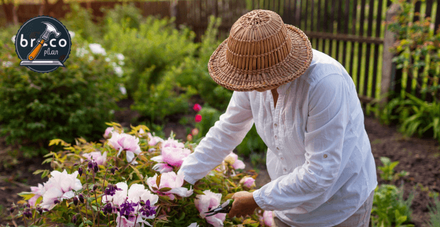 Preparar el Jardín para la Primavera - Secretos Bricoplan Revelados