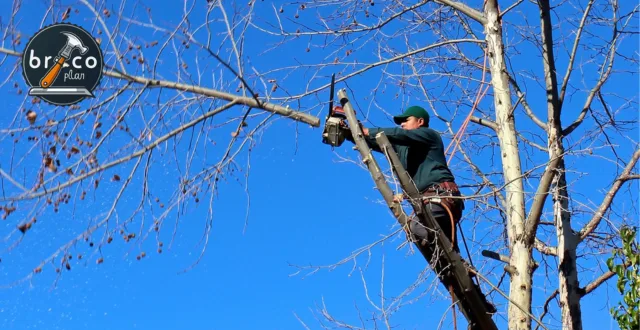 The 5 Best Battery-Powered Mini Chainsaws: Power, Safety, and Value for Money - Bricoplan
