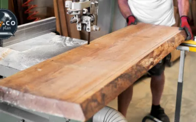 Las Mejores Sierras de Cinta Calidad Precio - Guía Definitiva y Completa Bricoplan