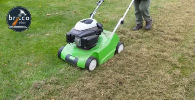 Los 5 Mejores Escarificadores de Césped Calidad Precio - Analisis Bricoplan